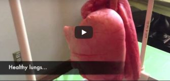 VIDEO – Cum arata plamanii unui om dupa 2 pachete de tigari
